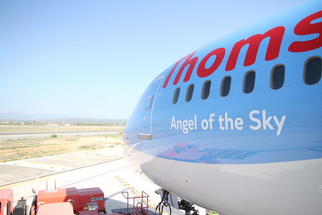 787 Dreamliner Angel of the sky