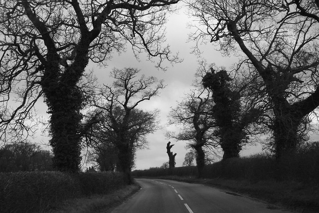 Keeping an eye on those who pass by..