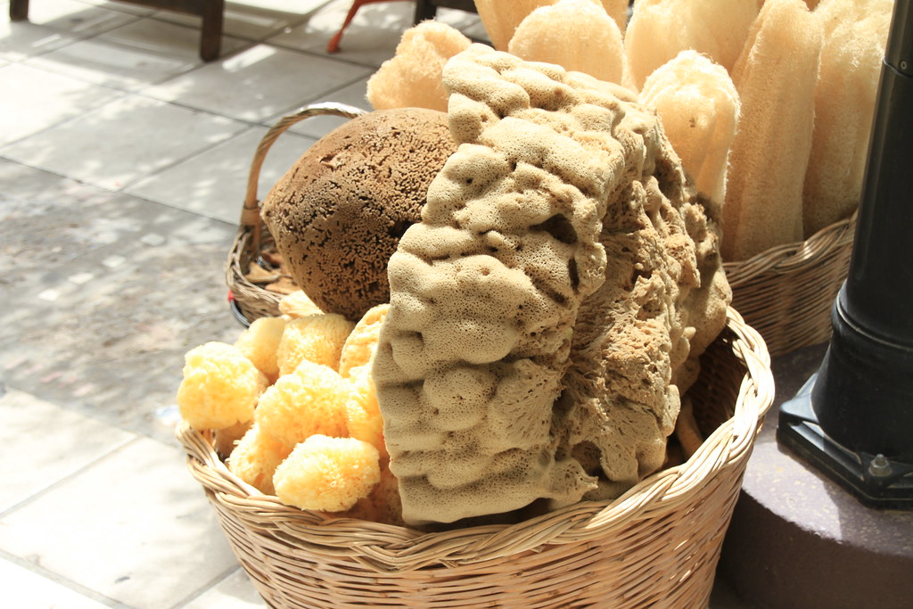 Agios Nikolaos Sponge