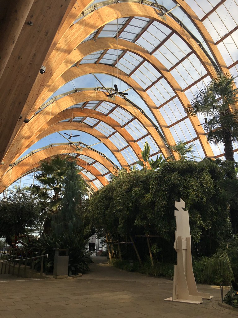 winter gardens sheffield