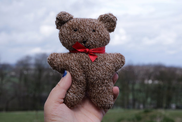 Tiny Ted from Mayfield Alpacas Animal Park
