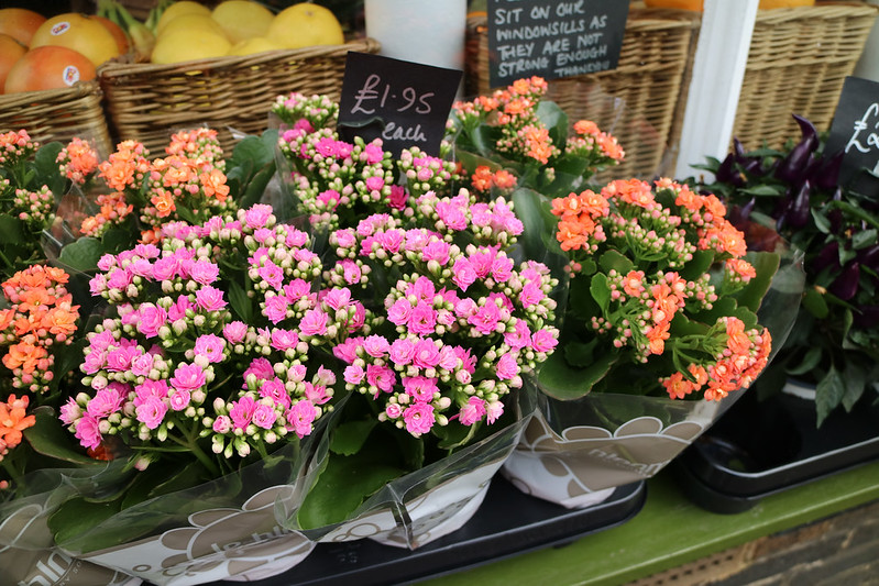 Flowers - Southwold - Shop