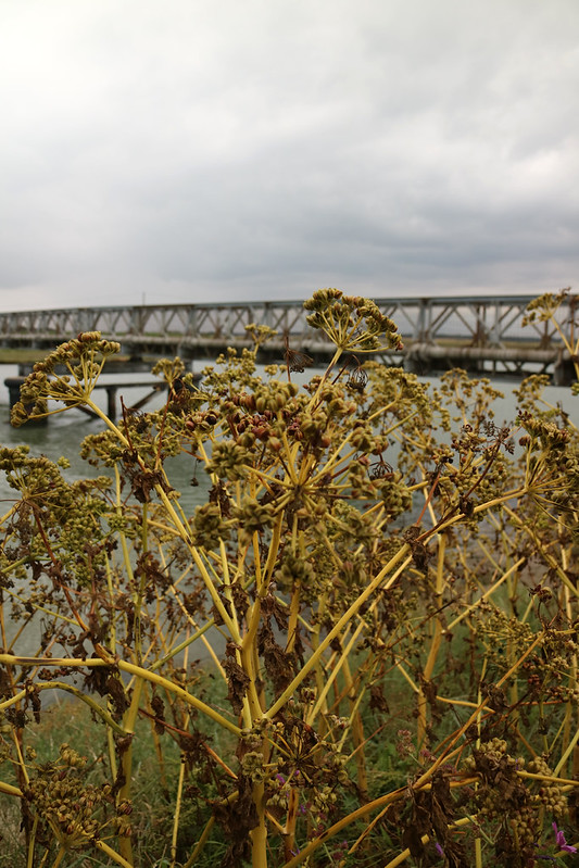 Before the Storm Southwold