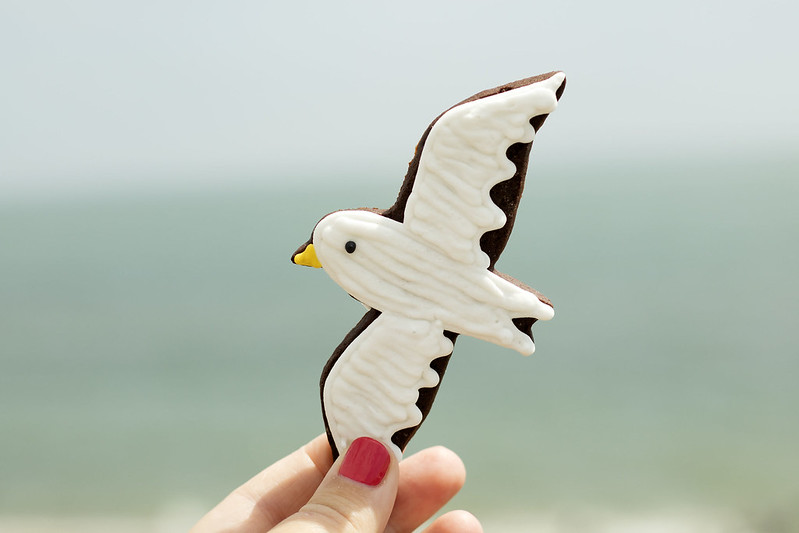 Birds-Biscuits-Biscuiteers