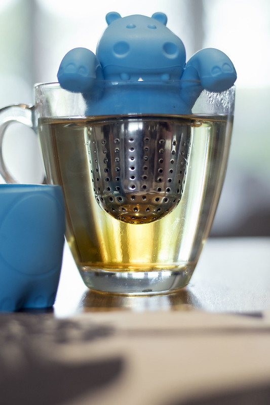 Ceylon Nuwara Eliya FBop Tea Makers Brewing Tea