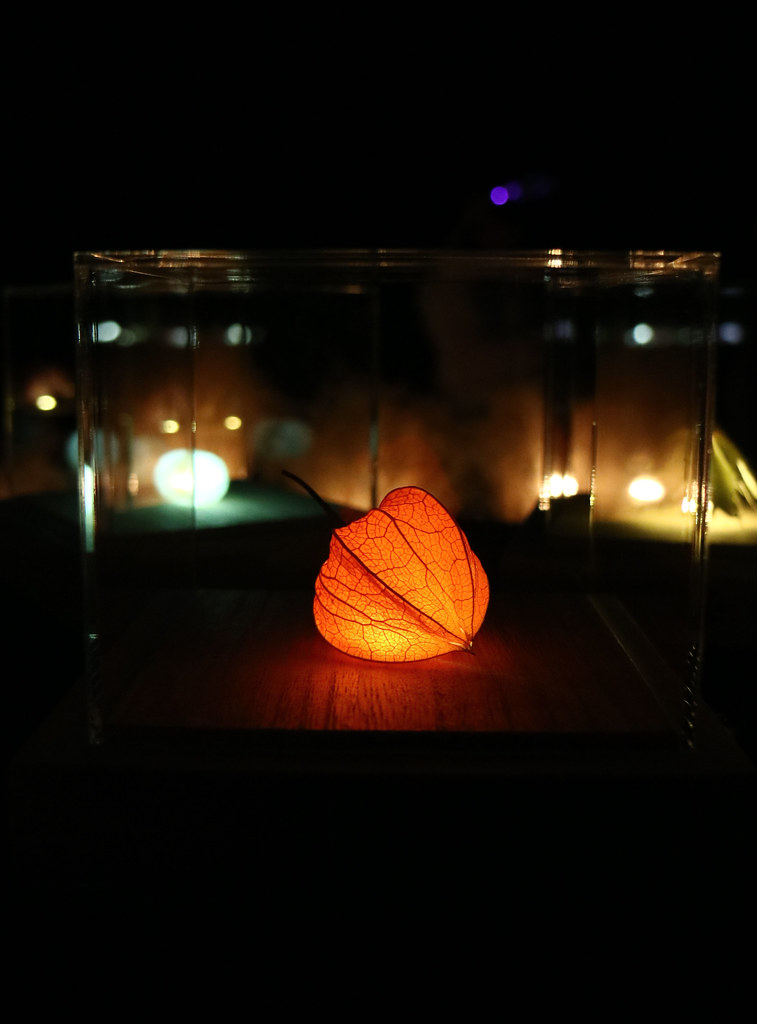 Hyper Japan Lanterns