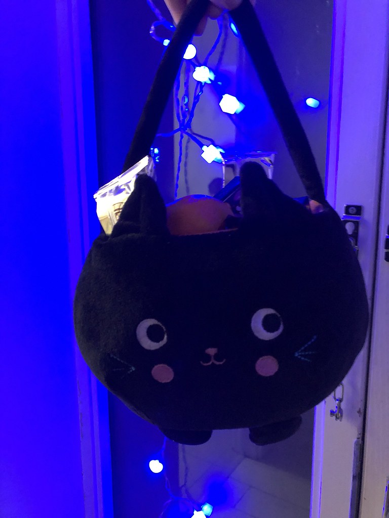 Cute Halloween cat bag