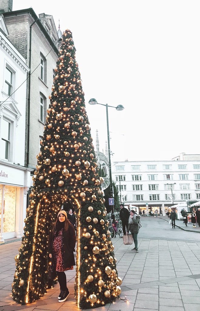 Daisy Prettygreentea Cambridge Tree