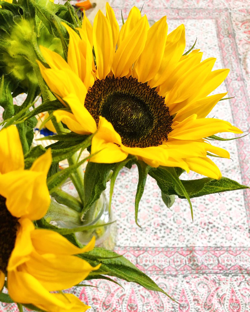 Sunflower Prettygreentea