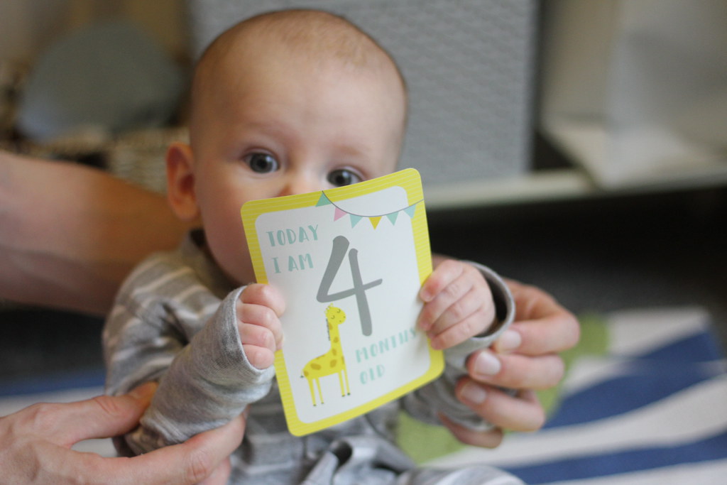 Xander 4 Months Old - 28th July 2019