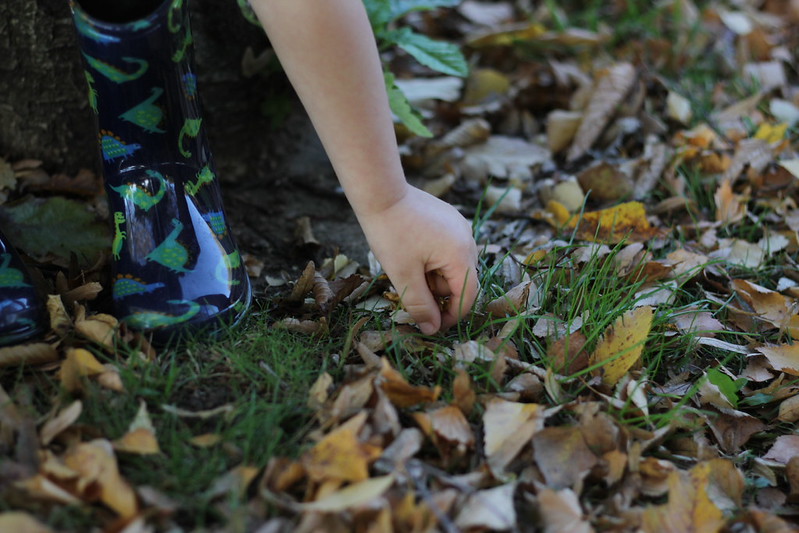 Picking leaves outside