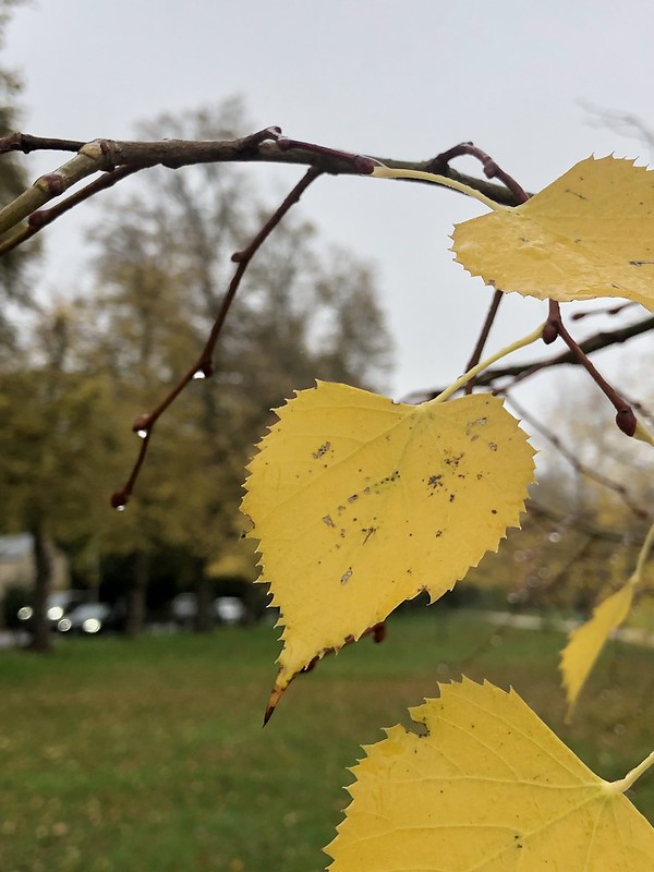 10:11:21 - cambridge