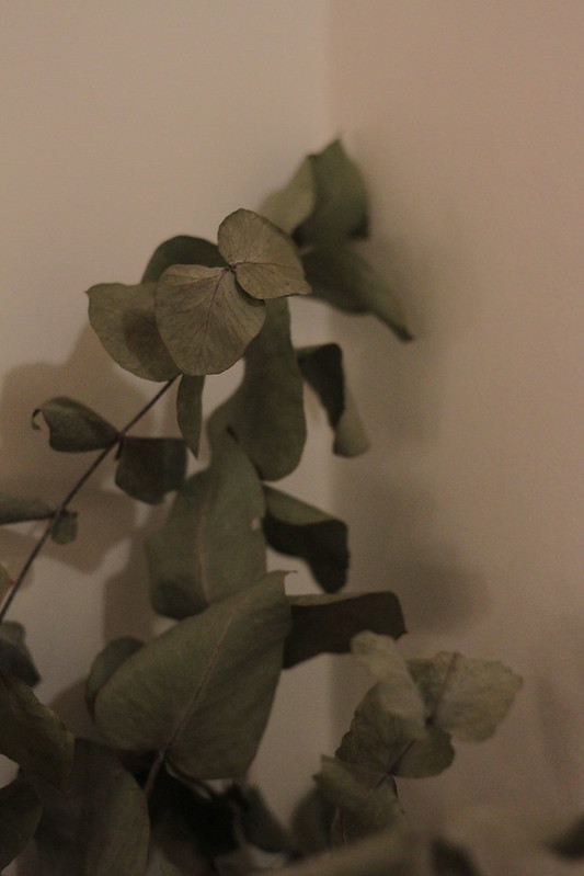 evening in the kitchen