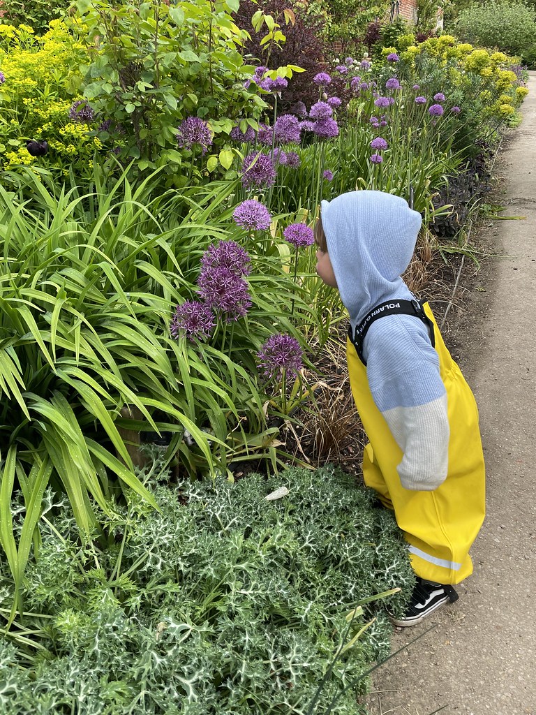 Toddler walled garden - wimpole