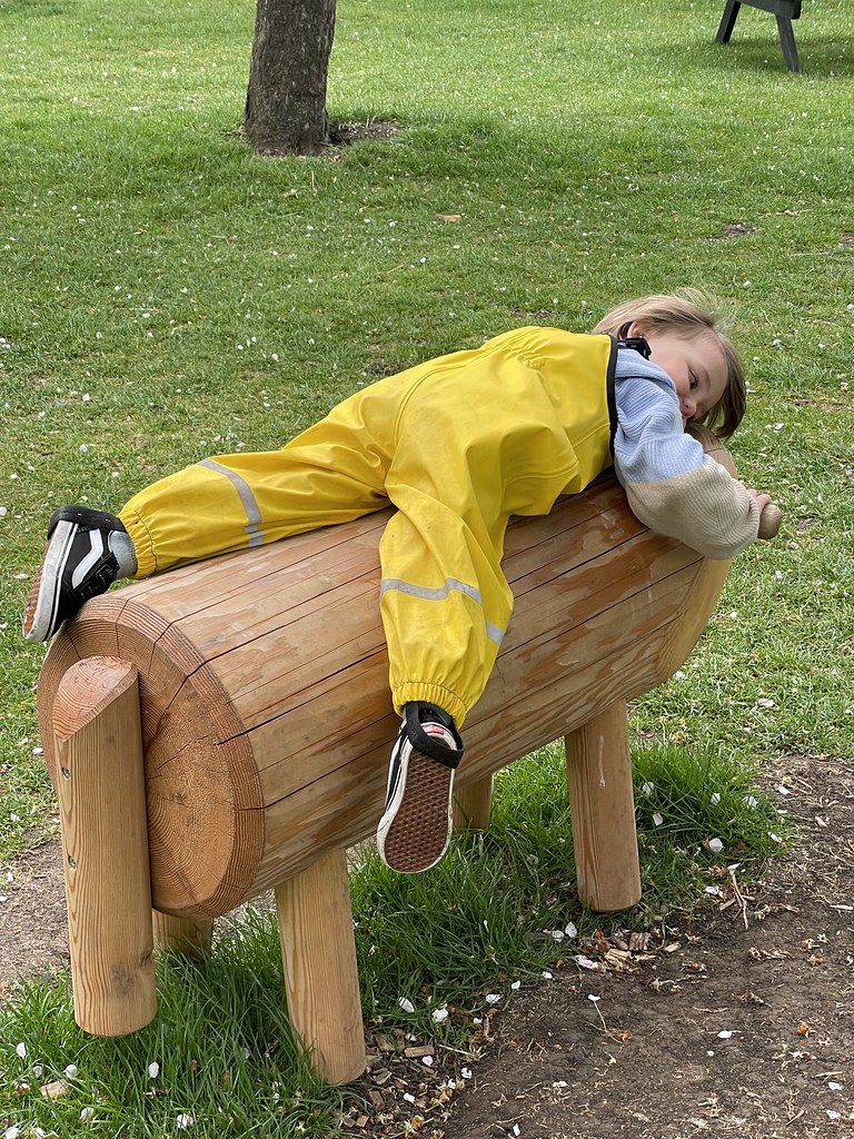 wimpole wooden play area