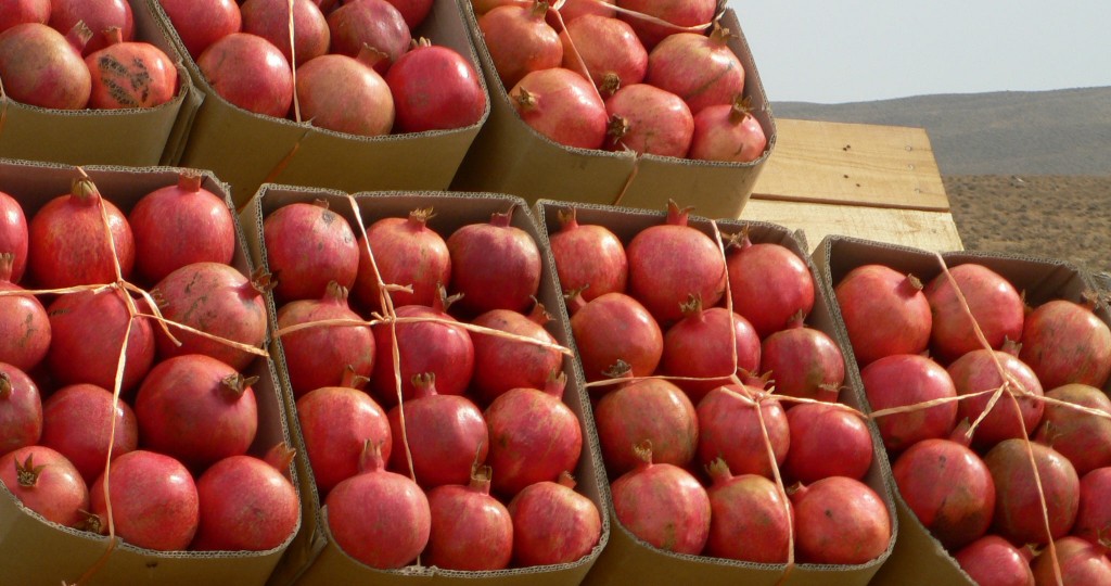 pomegranates_featured