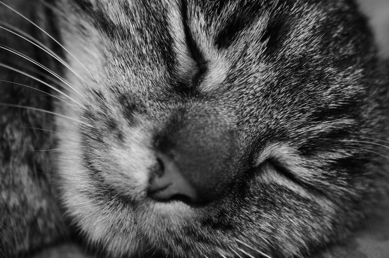 Screen Shot 2015-06-19 at 21.41.59